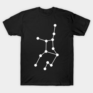 Virgo Horoscope Zodiac T-Shirt